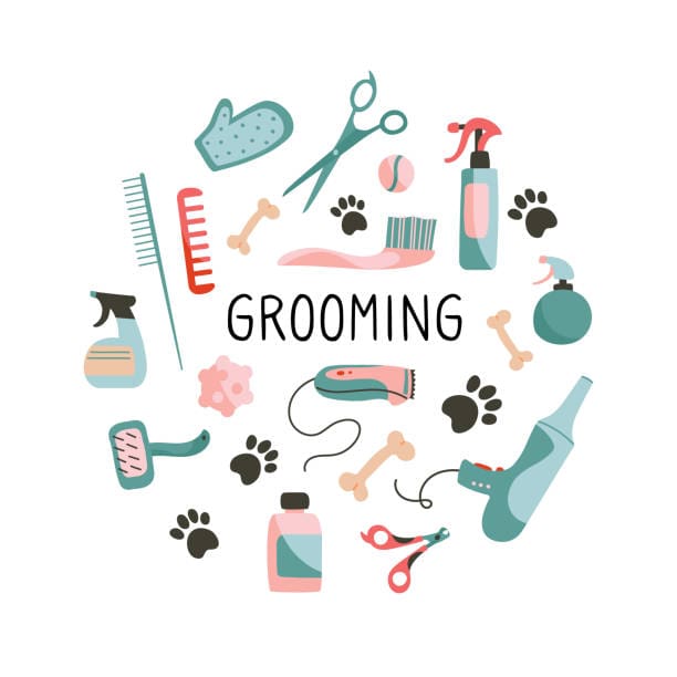 dog grooming shop software