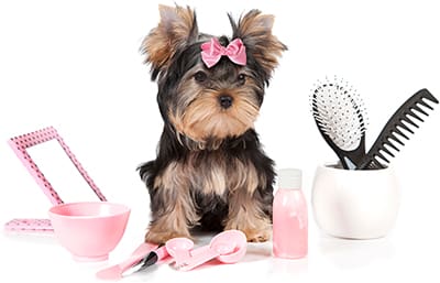 stinky dog grooming sutherlin or