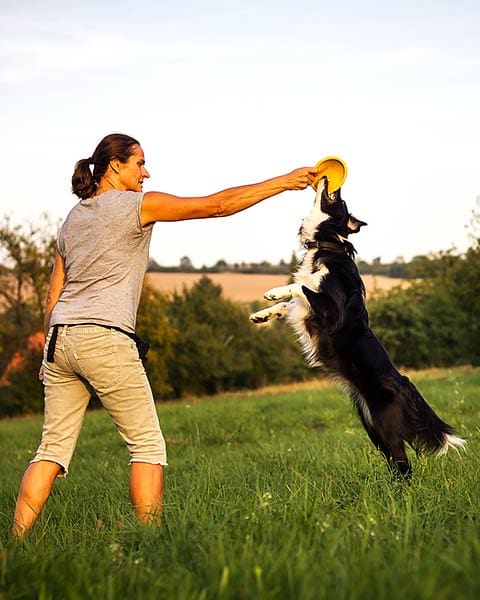best method for training a dog
