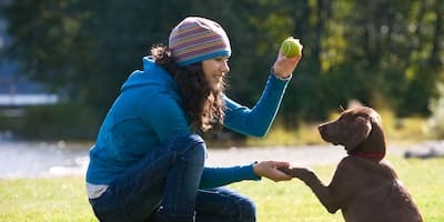 types of dog training certifications