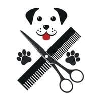 pet grooming international city