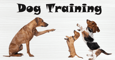 types of specialized dog training